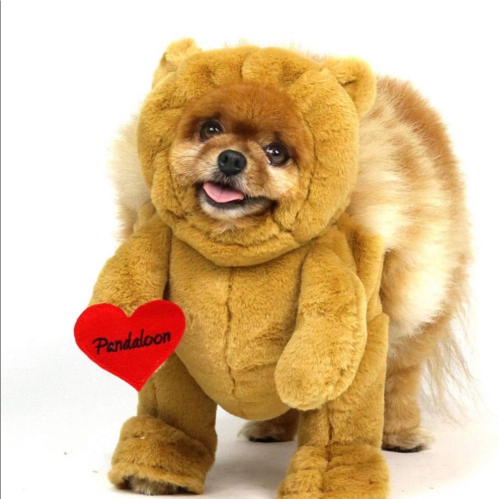 Teddy bear Halloween costume for dog